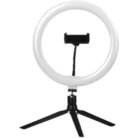 رینگ لایت 10 اینچ مدل ZMX-260