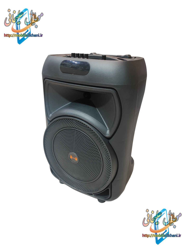 اسپیکر 12 اینچ Trolly Speaker YR-1201
